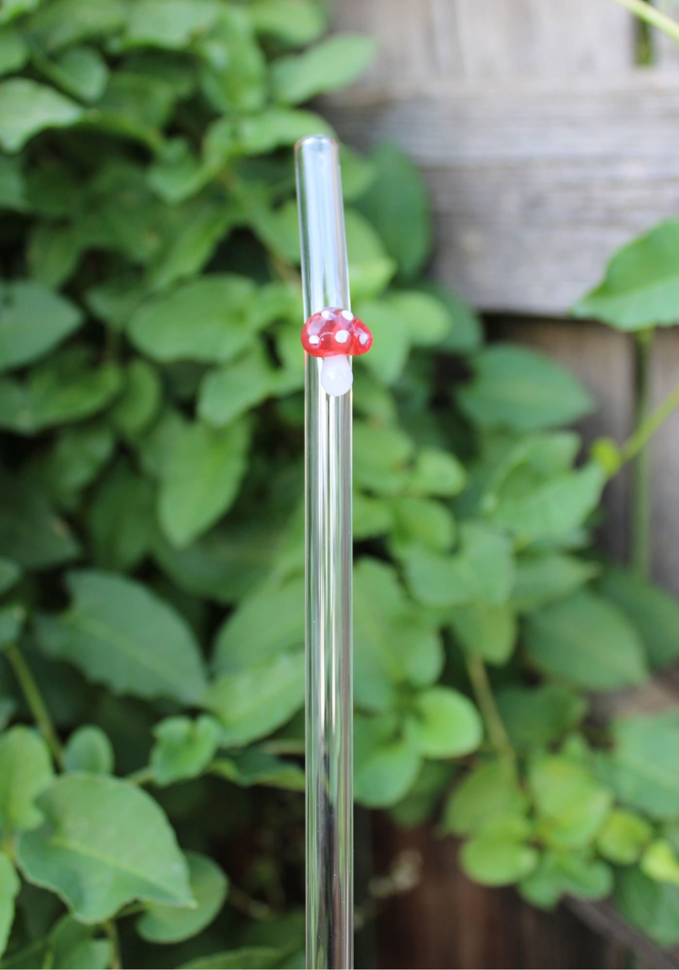 Mushroom Reusable Glass Drinking Straw