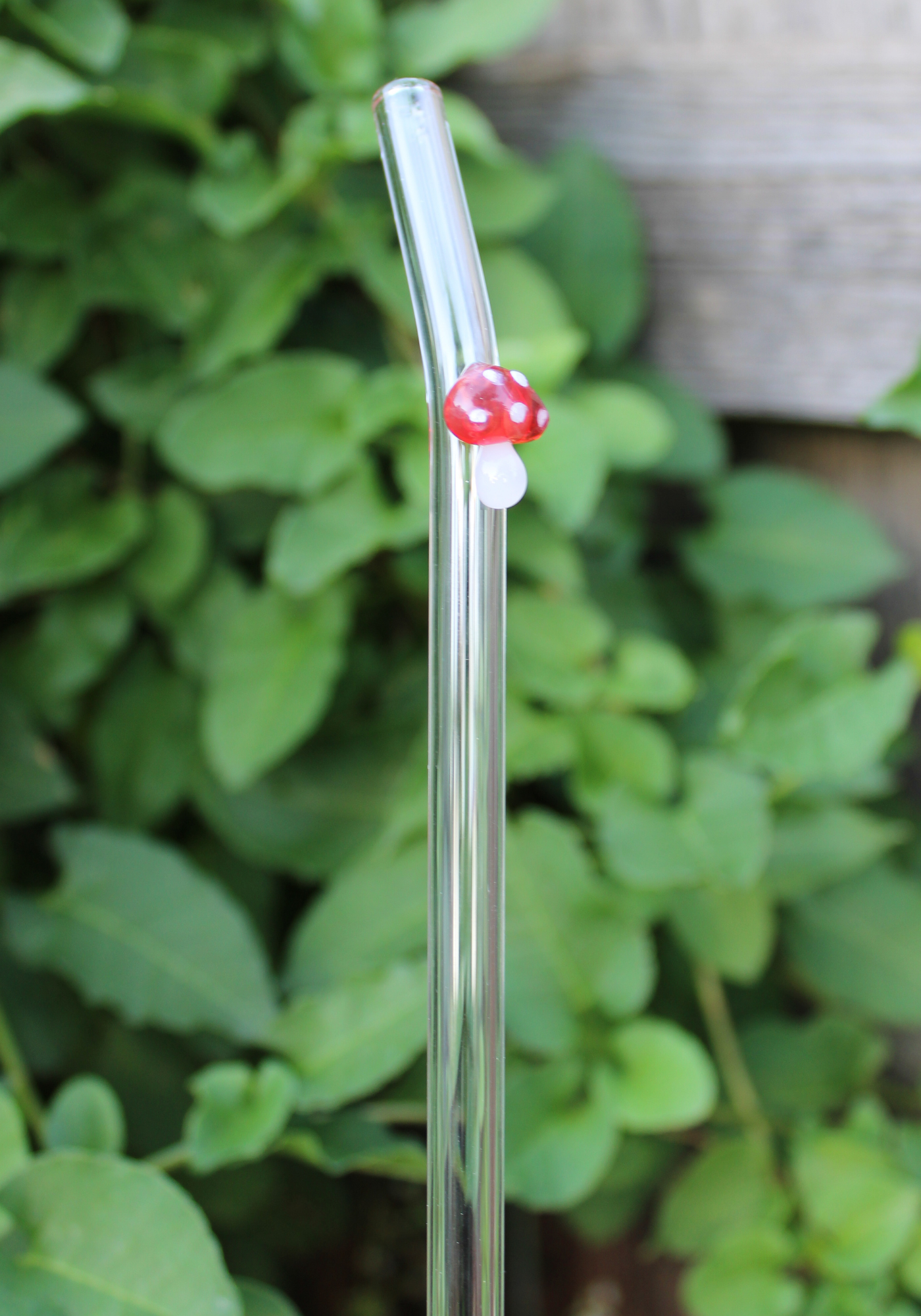 Mushroom Reusable Glass Drinking Straw