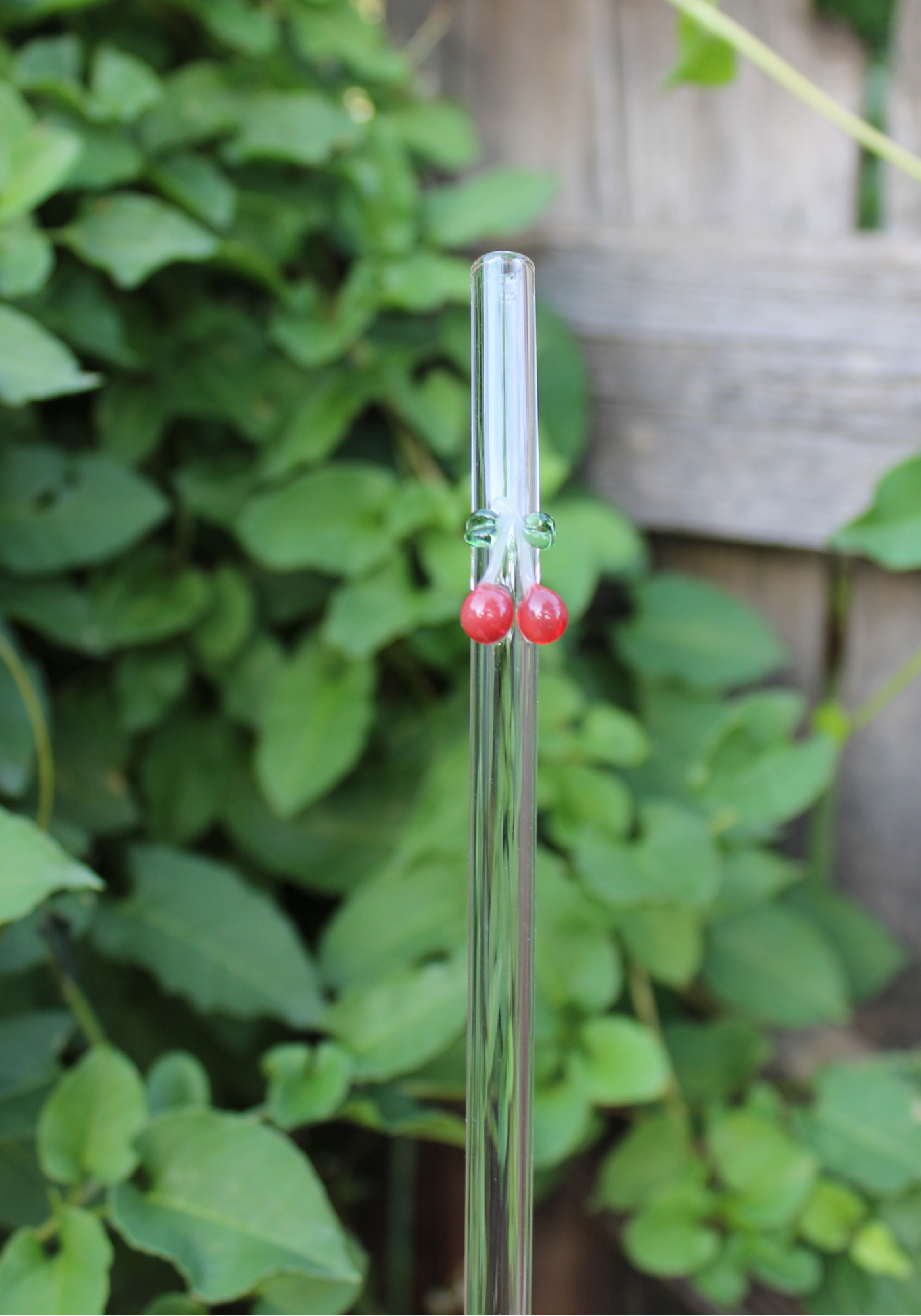 Cherry Reusable Glass Drinking Straw