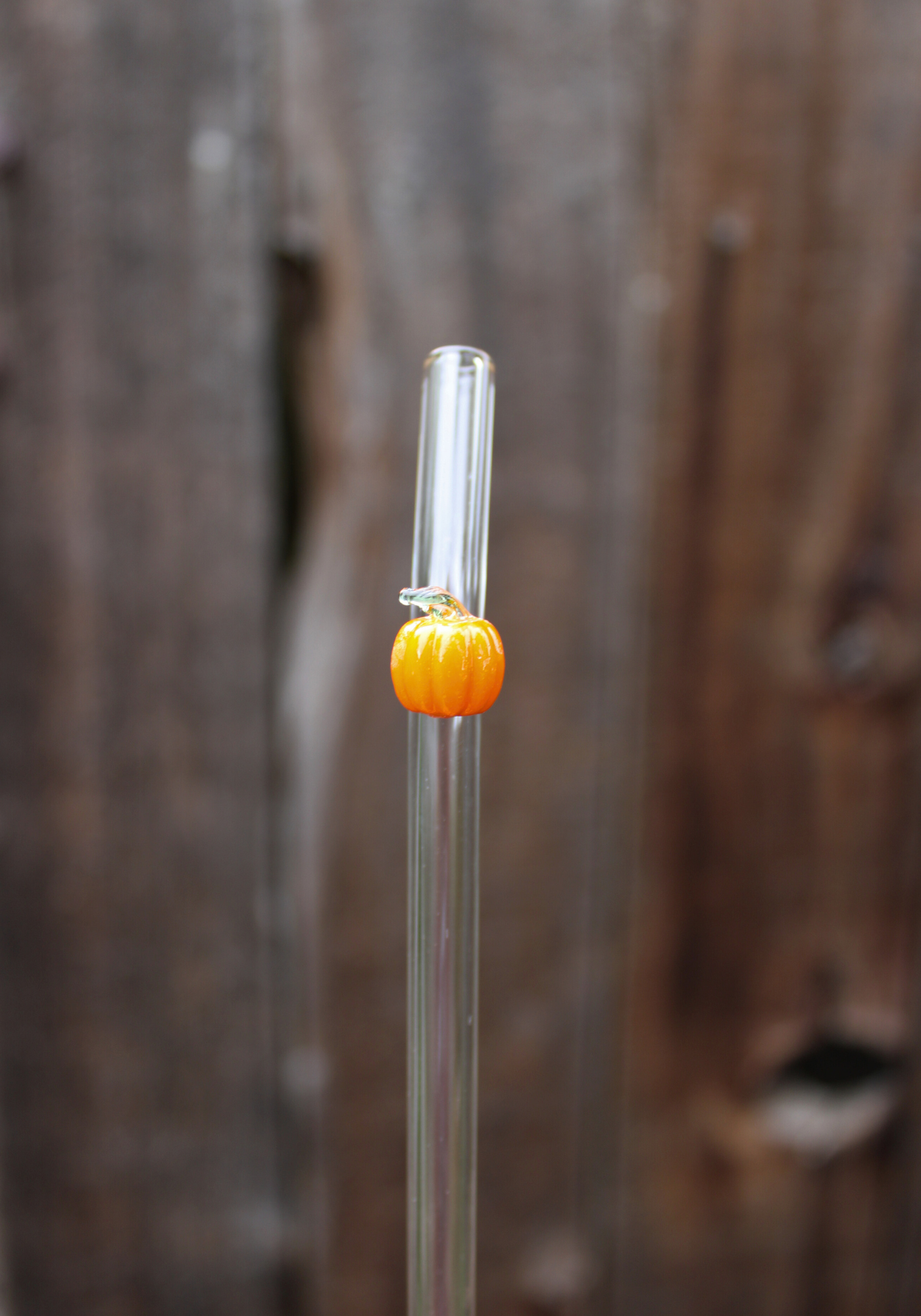 Pumpkin Glass Straw