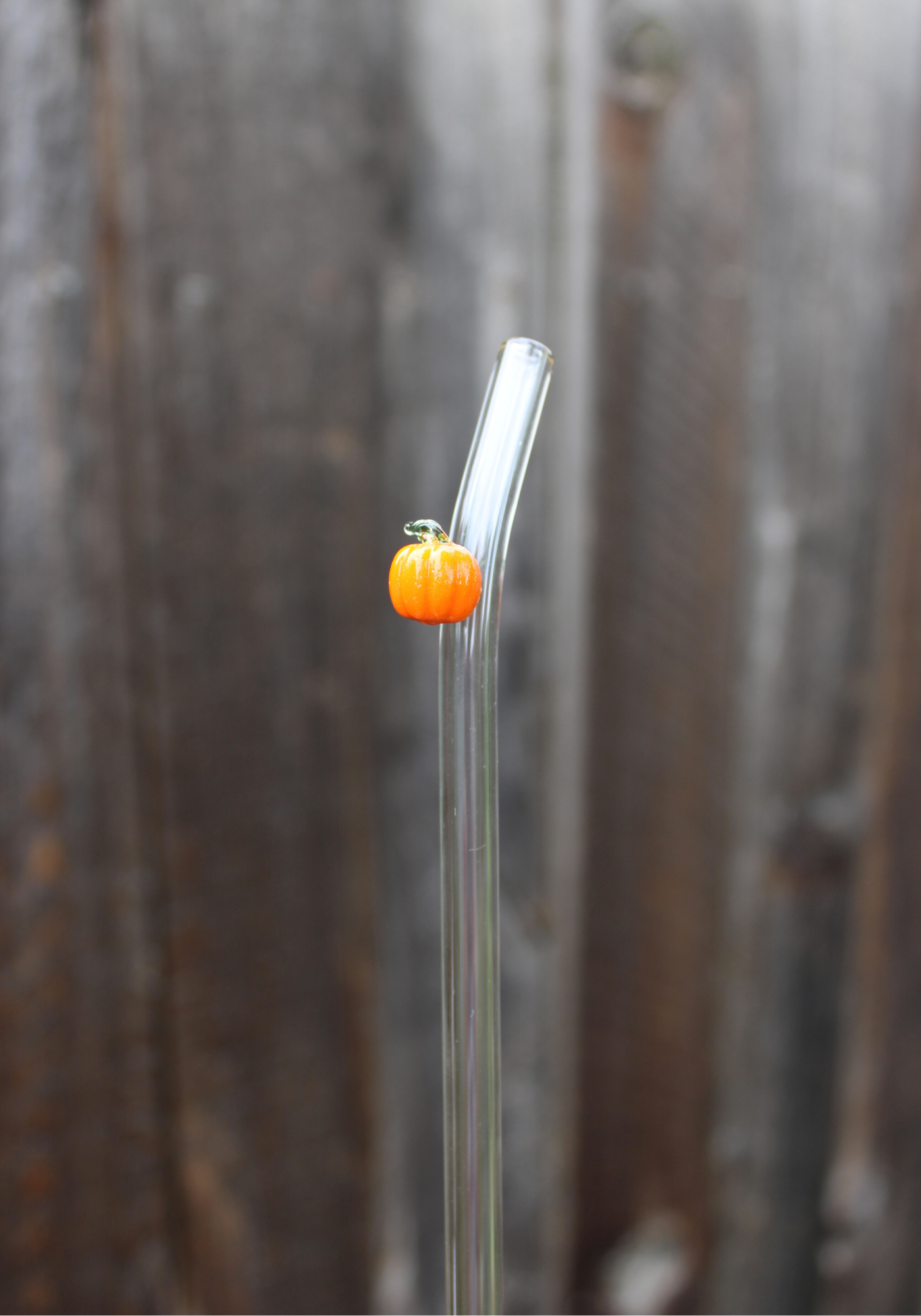 Pumpkin Glass Straw