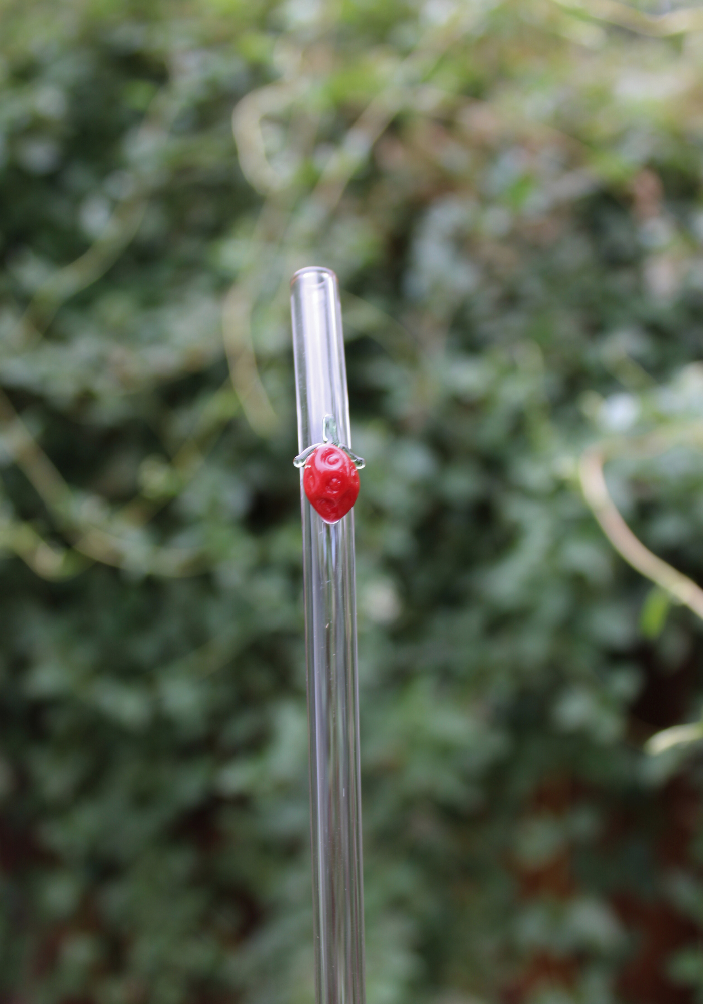 Strawberry Reusable Glass Drinking Straw