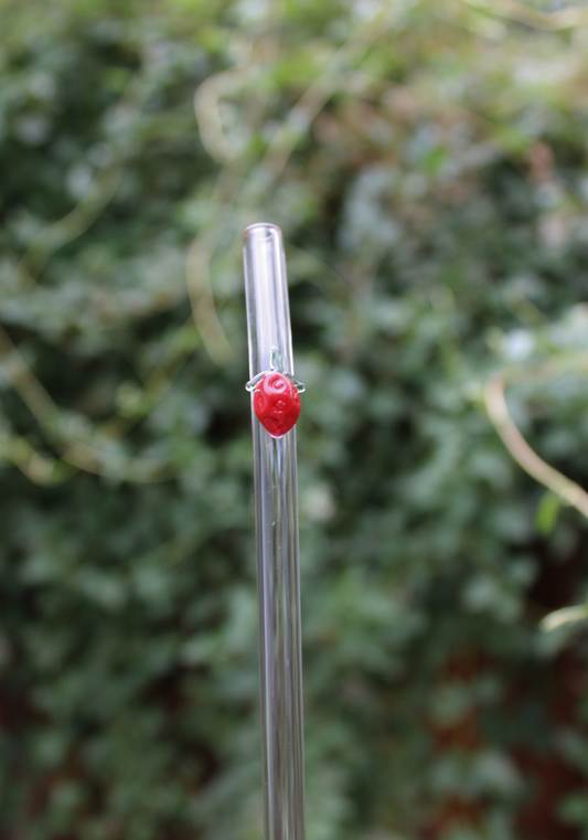 Strawberry Reusable Glass Drinking Straw