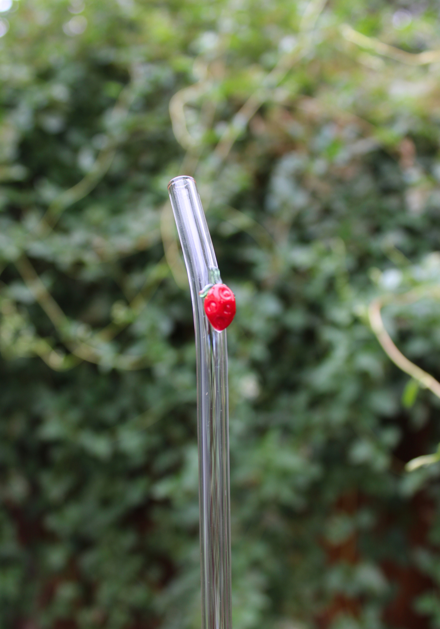 Strawberry Reusable Glass Drinking Straw