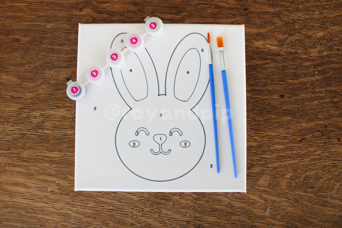 Hoppy Bunny Paint Kit